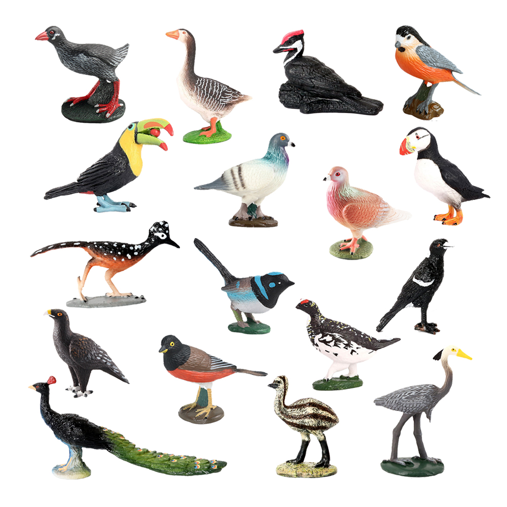 Kids Toys Review - Owl Flamingo Turkey Toucan Seahawk Model