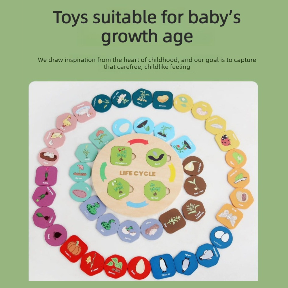1Pc Wooden Growth Puzzle, plan - Kids Toys Cycle 评论和价格