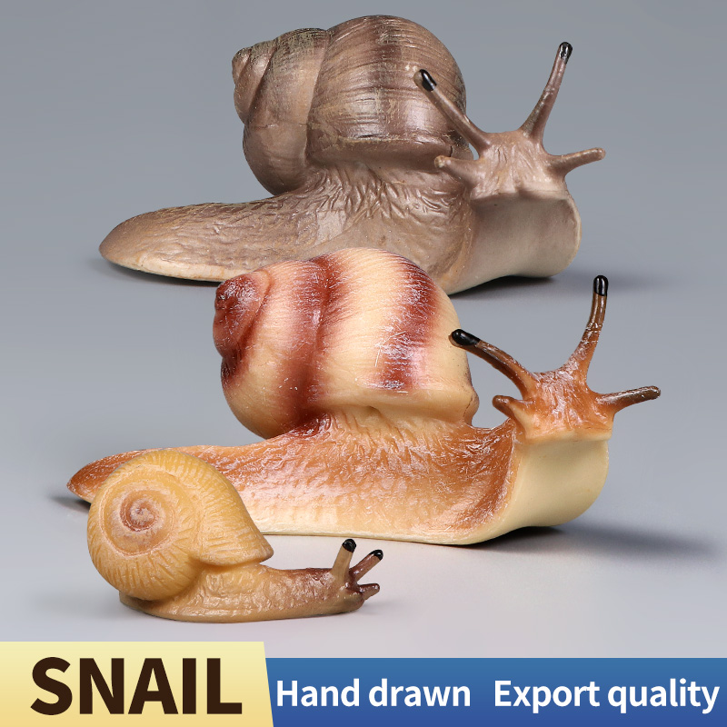 Educational Snail Action Figur - Kids Toys Brand 评论和价格
