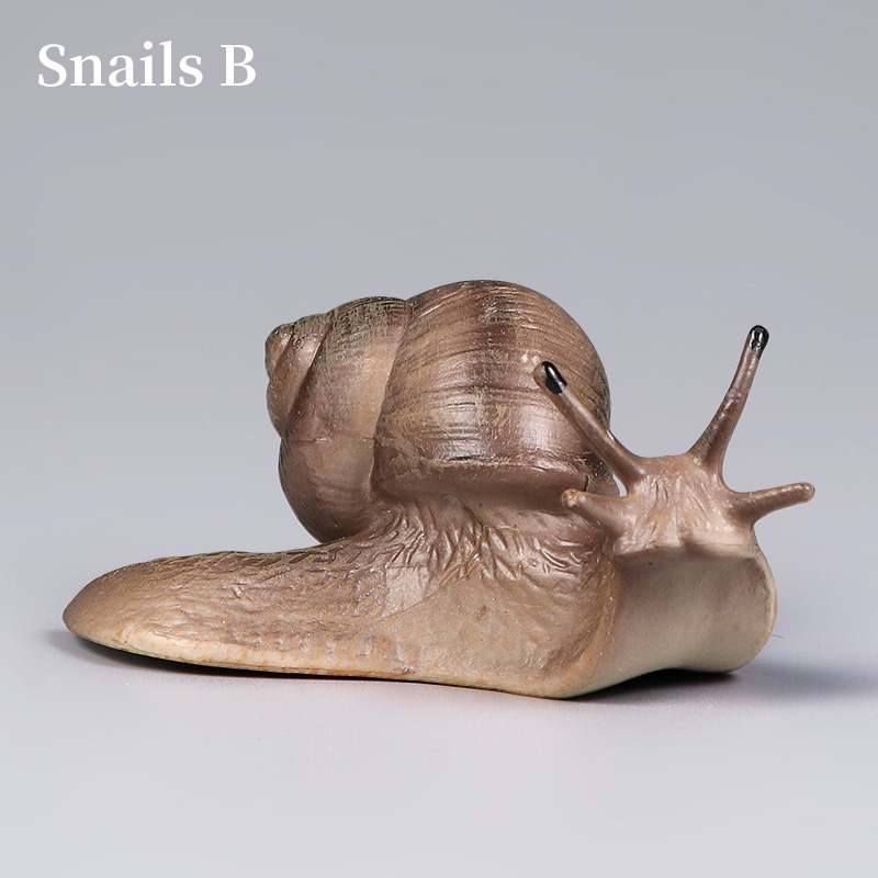 Educational Snail Action Figur - Kids Toys Brand 评论和价格